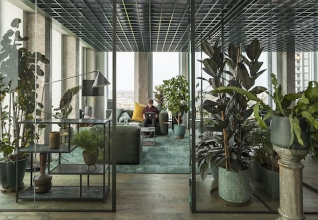 Sony Music's Amsterdam offices hit the high note for both work and play