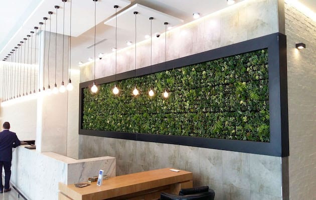 Living walls: Growing a greener nine to five