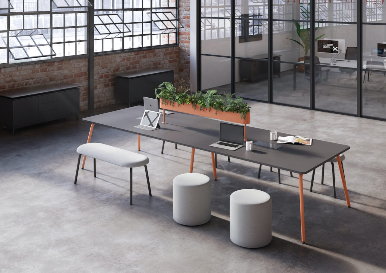 Introducing Jasper: Elevating Workspaces with Vibrant Colours and ...
