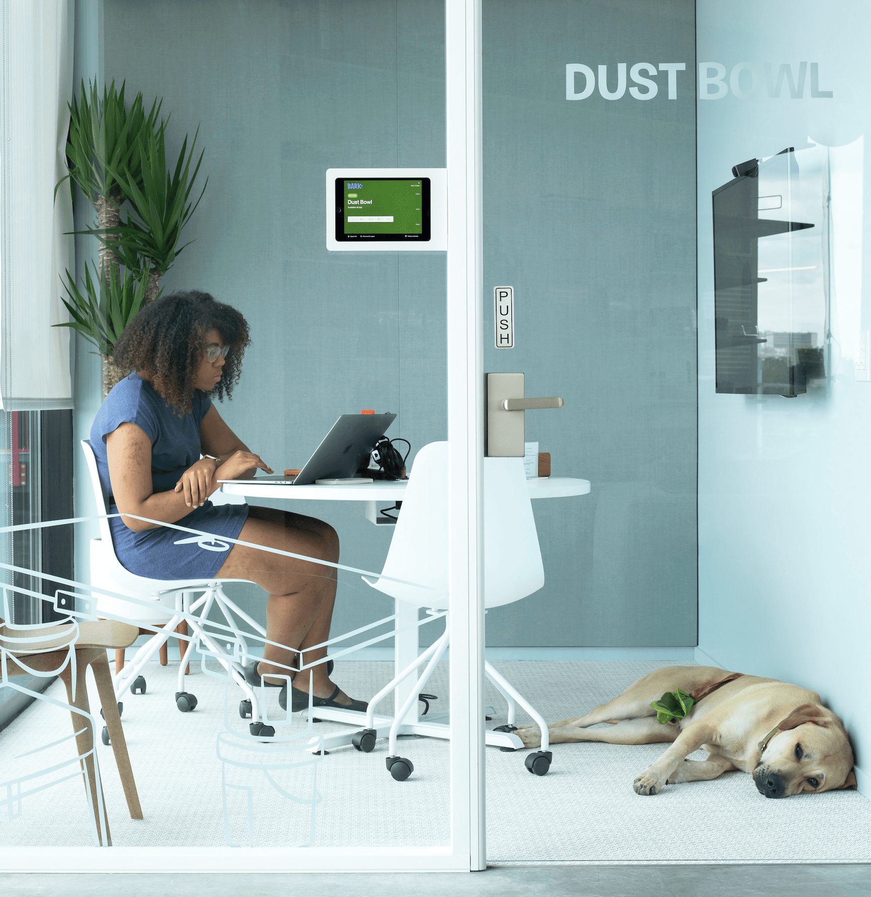 Dog-friendly workplace, Britni Stone, NBBJ, OnOffice magazine