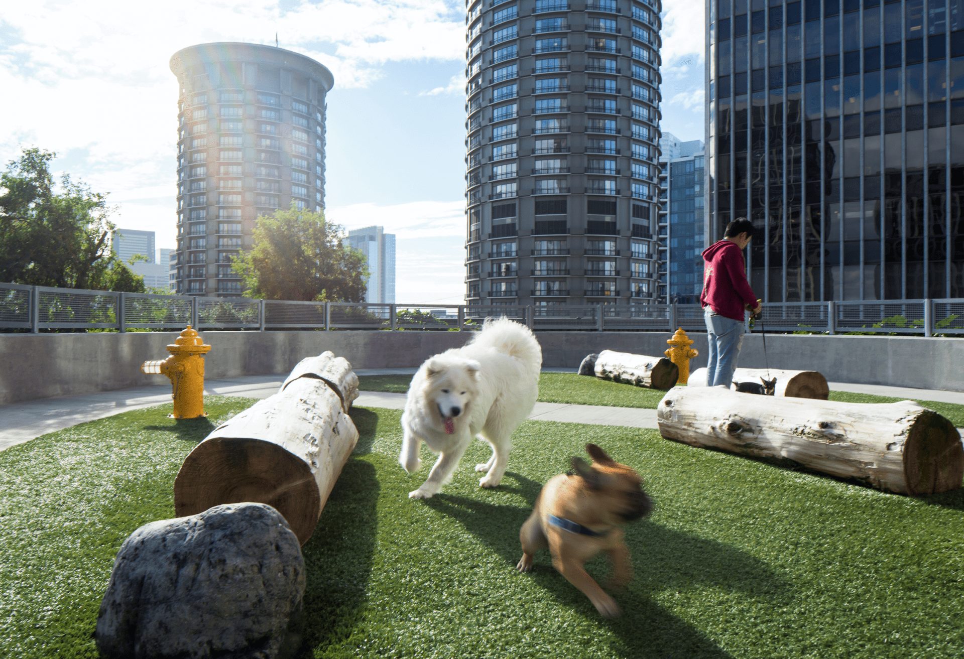 Dog-friendly workplace, Britni Stone, NBBJ, OnOffice magazine