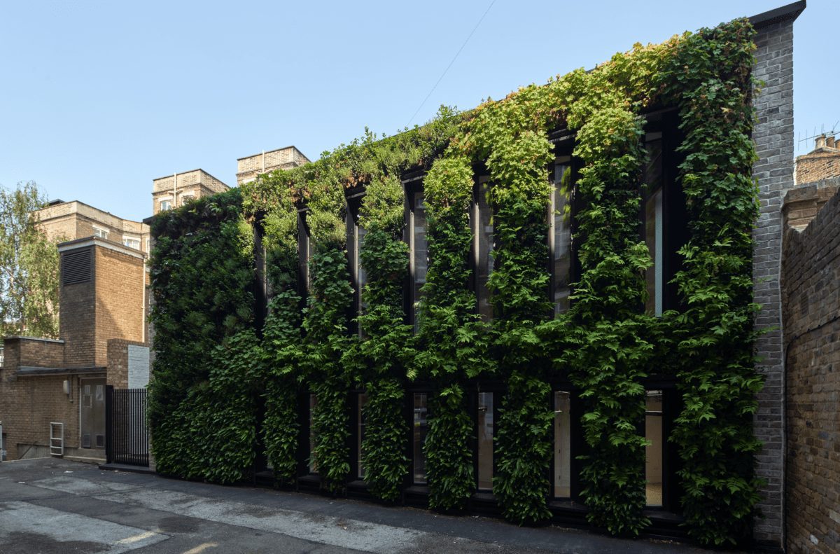 plantworks, london, kono designs, marek wojciechowski architects, sustainability, biophilia, office interiors, OnOffice magazine