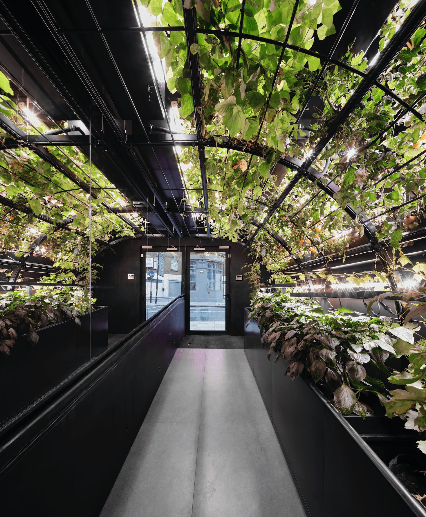 plantworks, london, kono designs, marek wojciechowski architects, sustainability, biophilia, office interiors, OnOffice magazine