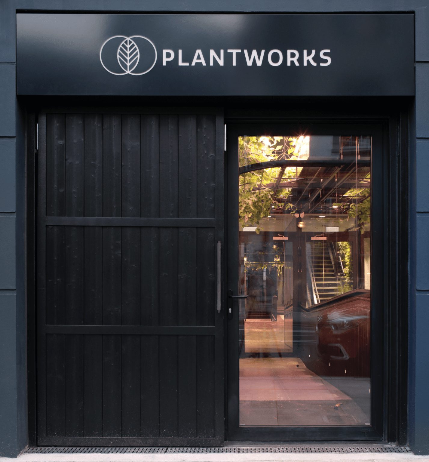 Plantworks embraces biophilic design to bring the outdoors inside ...