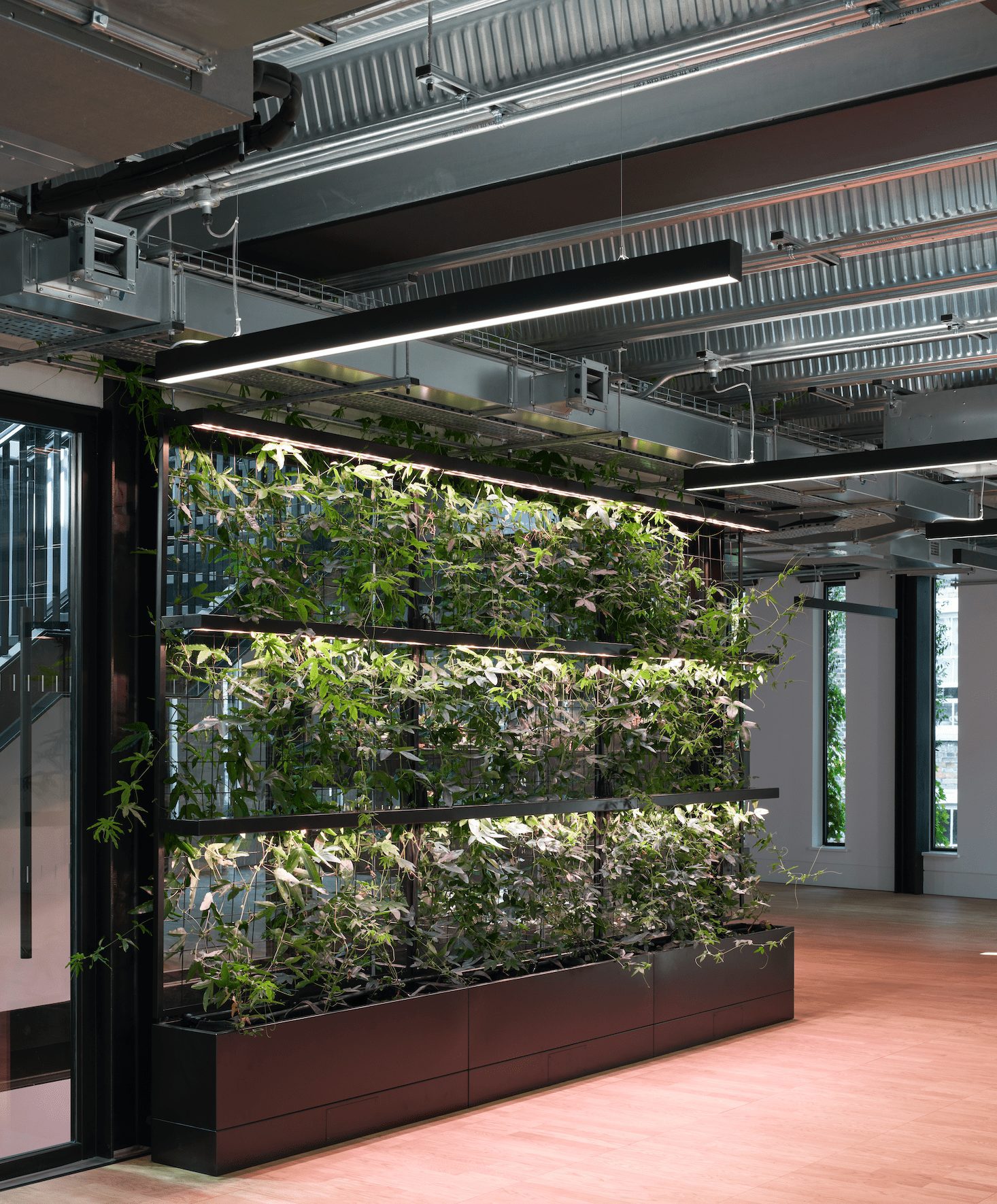 plantworks, london, kono designs, marek wojciechowski architects, sustainability, biophilia, office interiors, OnOffice magazine