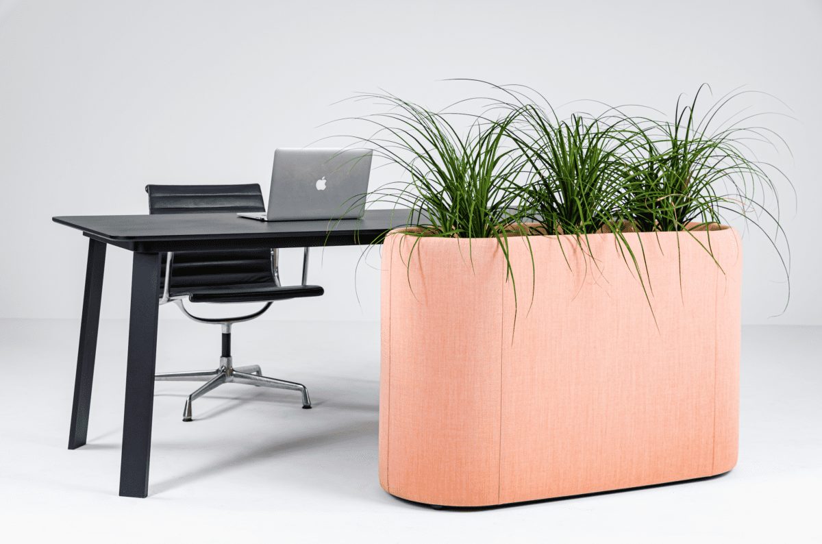 buzzispace, buzziplanter, plants, biophilia, biophilic design, office biophilia, OnOffice magazine