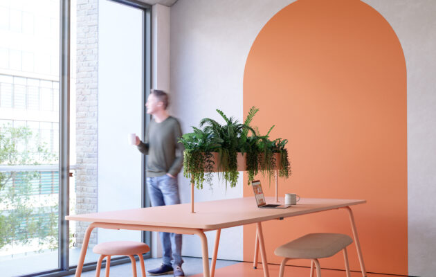 Introducing Jasper: Elevating Workspaces with Vibrant Colours and Biophilic Design
