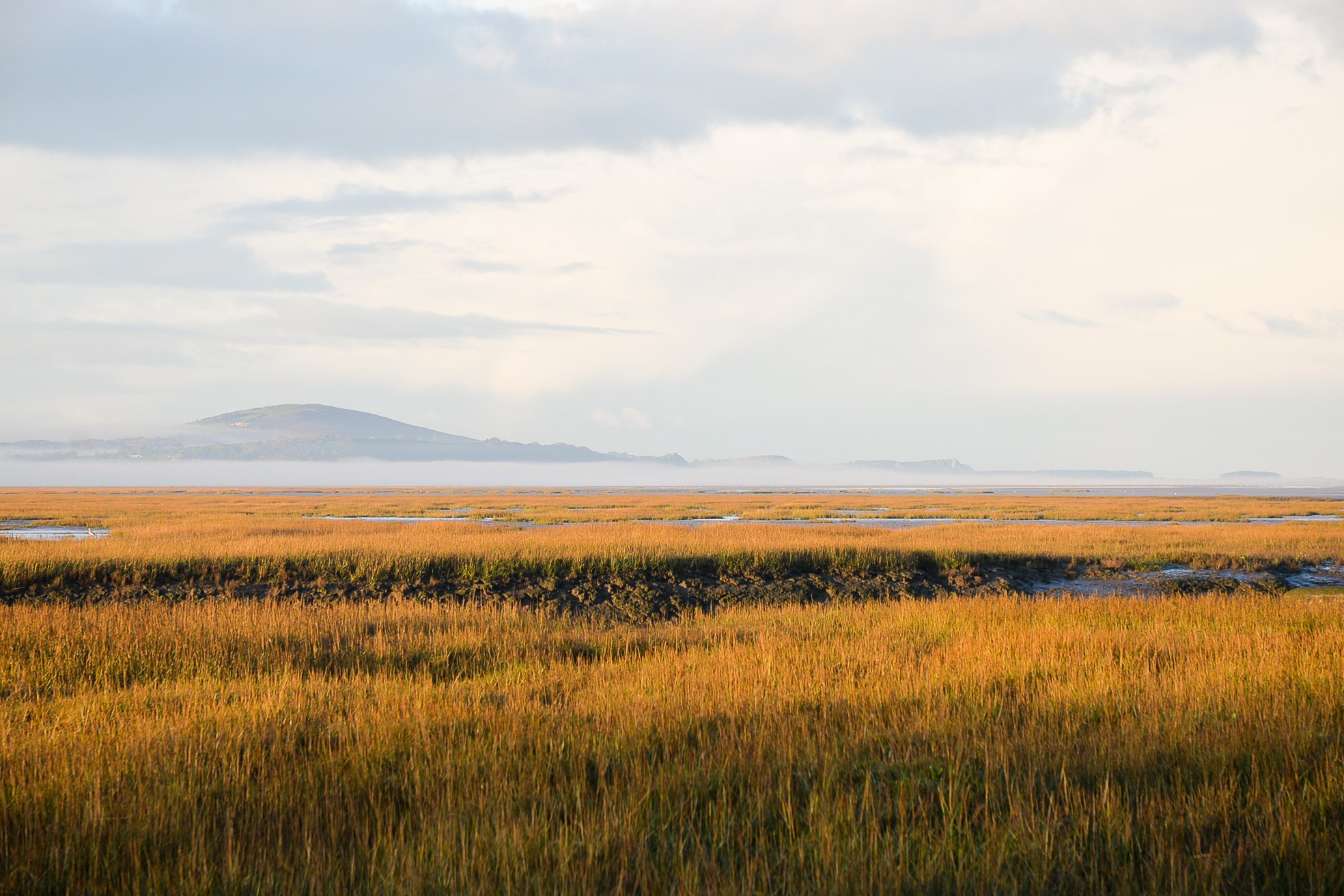 Crofty Misty Marshes Location Smile Plastics